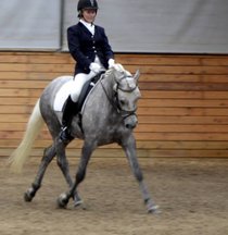 træning af hest kommission hjælp til salg af hest